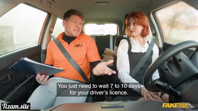 FakeTaxi